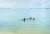 zwischen Luanda und Muzulo - 1984 (1).jpg