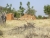 Ortsrand.JPG