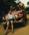 1978_Angola_Golungo Alto_Jeep_Ausschnitt.jpg